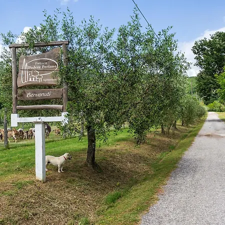 Agriturismo Fattoria Podere Peciano-2